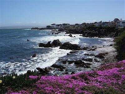 Monterey Peninsula Inn Пасифик Гров Экстерьер фото